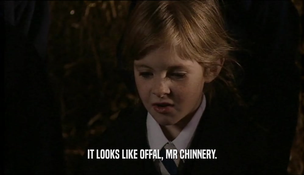 IT LOOKS LIKE OFFAL, MR CHINNERY.  