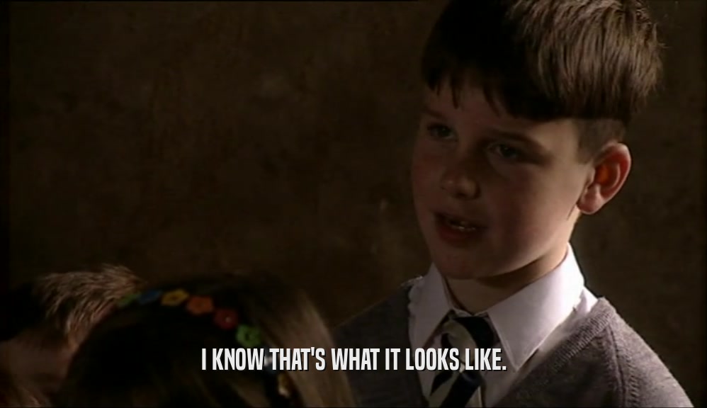 I KNOW THAT'S WHAT IT LOOKS LIKE.  