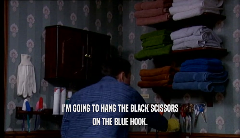 I'M GOING TO HANG THE BLACK SCISSORS
 ON THE BLUE HOOK.
 