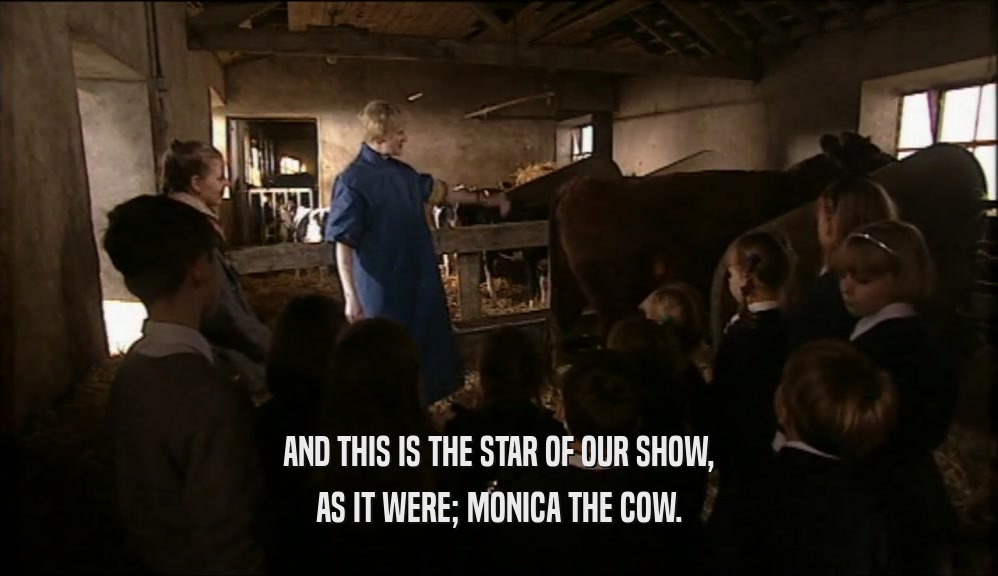 AND THIS IS THE STAR OF OUR SHOW, AS IT WERE; MONICA THE COW. 
