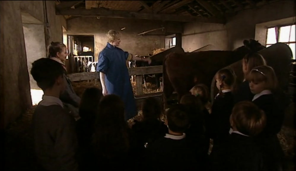 AND THIS IS THE STAR OF OUR SHOW, AS IT WERE; MONICA THE COW. 