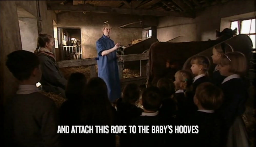 AND ATTACH THIS ROPE TO THE BABY'S HOOVES
  