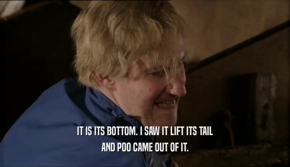 IT IS ITS BOTTOM. I SAW IT LIFT ITS TAIL AND POO CAME OUT OF IT. 