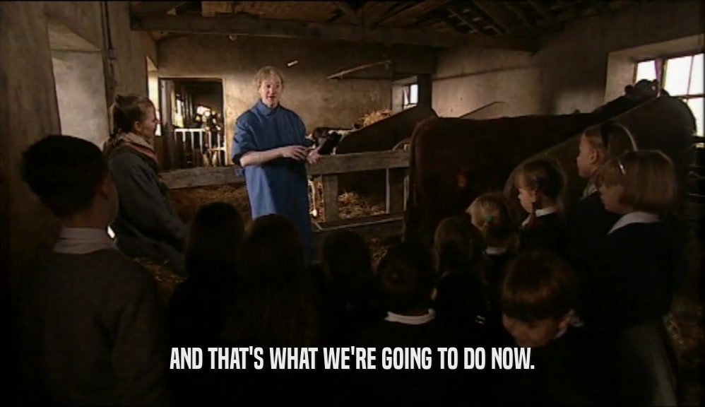 AND THAT'S WHAT WE'RE GOING TO DO NOW.  