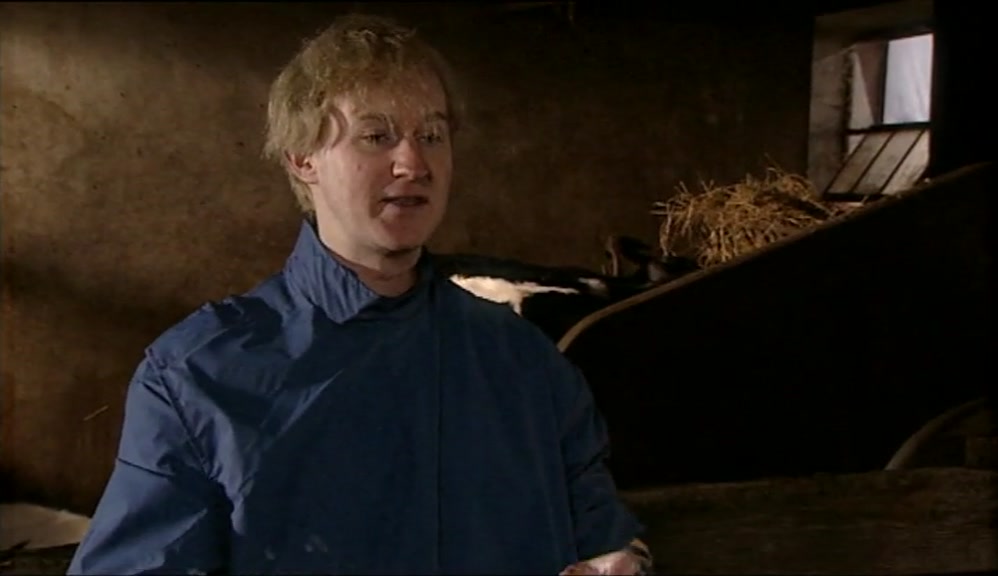 THE LITTLE BABY COW HAS BEEN TRYING TO GET OUT OF ITS MUMMY'S WOMB. YES? 