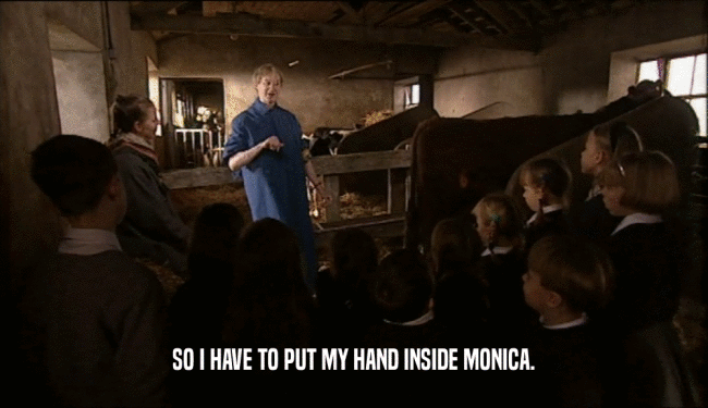 SO I HAVE TO PUT MY HAND INSIDE MONICA.
  