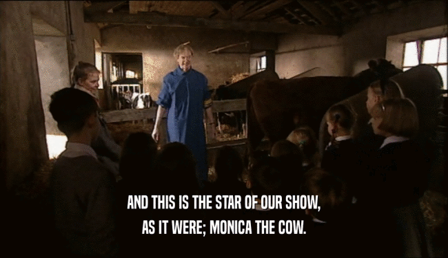 AND THIS IS THE STAR OF OUR SHOW, AS IT WERE; MONICA THE COW. 