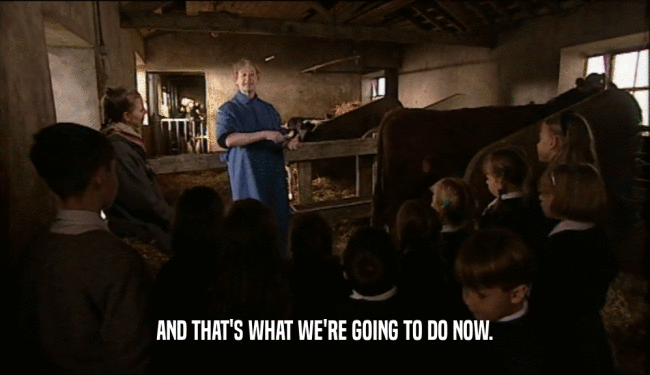 AND THAT'S WHAT WE'RE GOING TO DO NOW.  