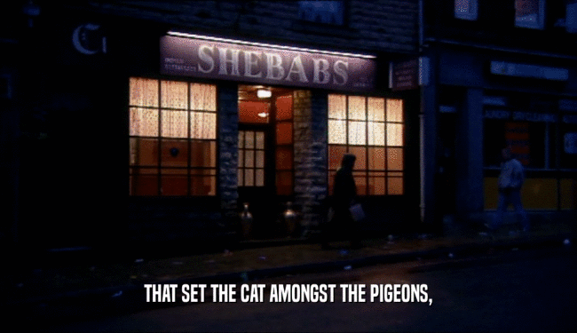 THAT SET THE CAT AMONGST THE PIGEONS,  