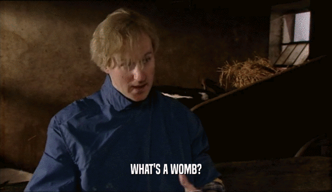 WHAT'S A WOMB?  