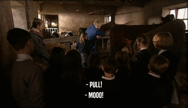 - PULL! - MOOO! 