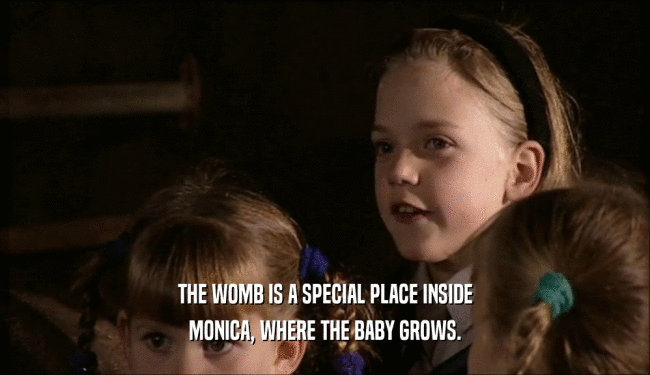 THE WOMB IS A SPECIAL PLACE INSIDE MONICA, WHERE THE BABY GROWS. 