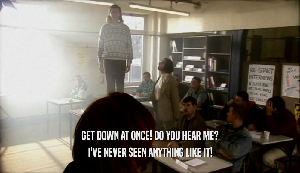 GET DOWN AT ONCE! DO YOU HEAR ME? I'VE NEVER SEEN ANYTHING LIKE IT! 