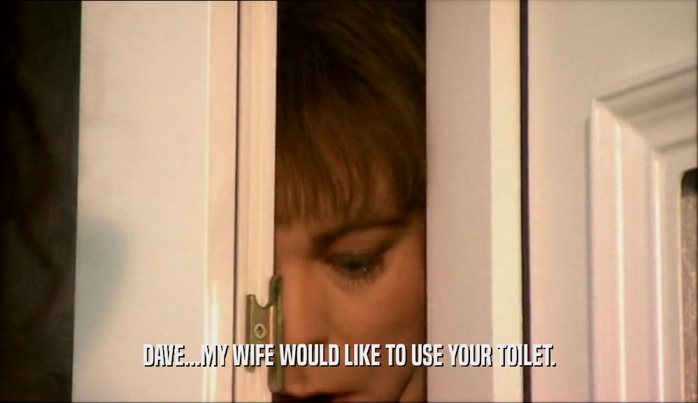 DAVE...MY WIFE WOULD LIKE TO USE YOUR TOILET.  