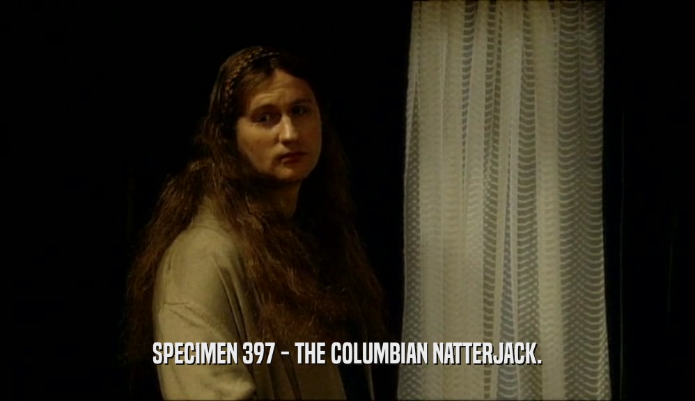 SPECIMEN 397 - THE COLUMBIAN NATTERJACK.  