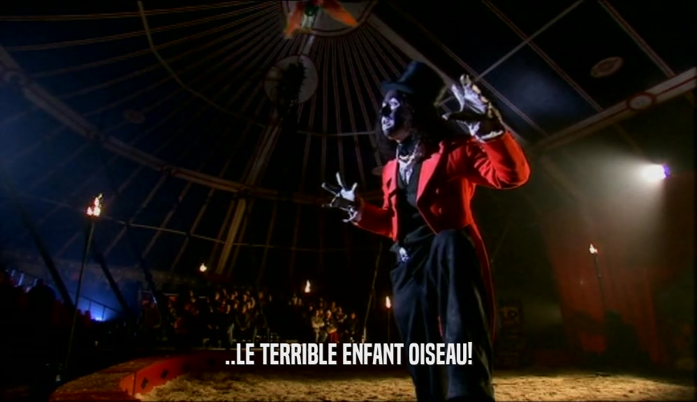 ..LE TERRIBLE ENFANT OISEAU!  