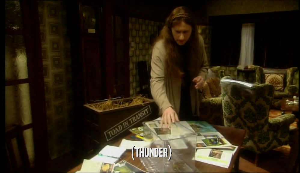 (THUNDER)  
