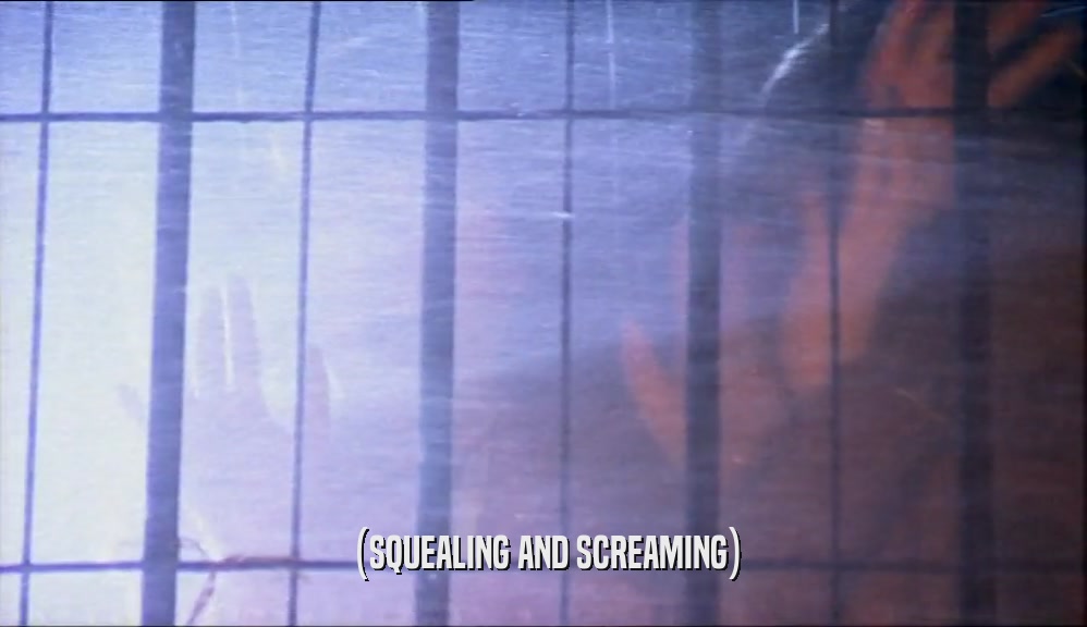 (SQUEALING AND SCREAMING)  