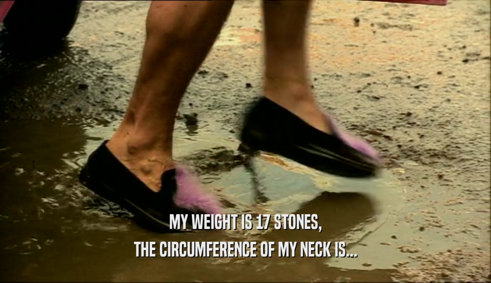 MY WEIGHT IS 17 STONES, THE CIRCUMFERENCE OF MY NECK IS... 