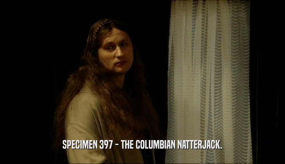SPECIMEN 397 - THE COLUMBIAN NATTERJACK.  