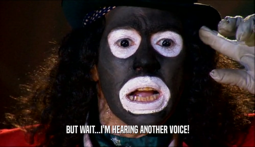 BUT WAIT...I'M HEARING ANOTHER VOICE!  