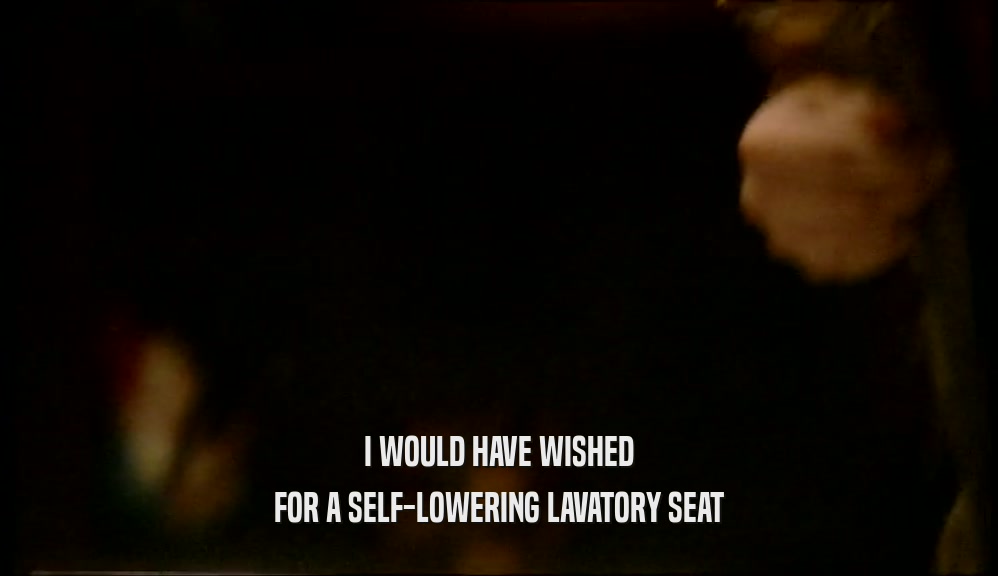 I WOULD HAVE WISHED
 FOR A SELF-LOWERING LAVATORY SEAT
 