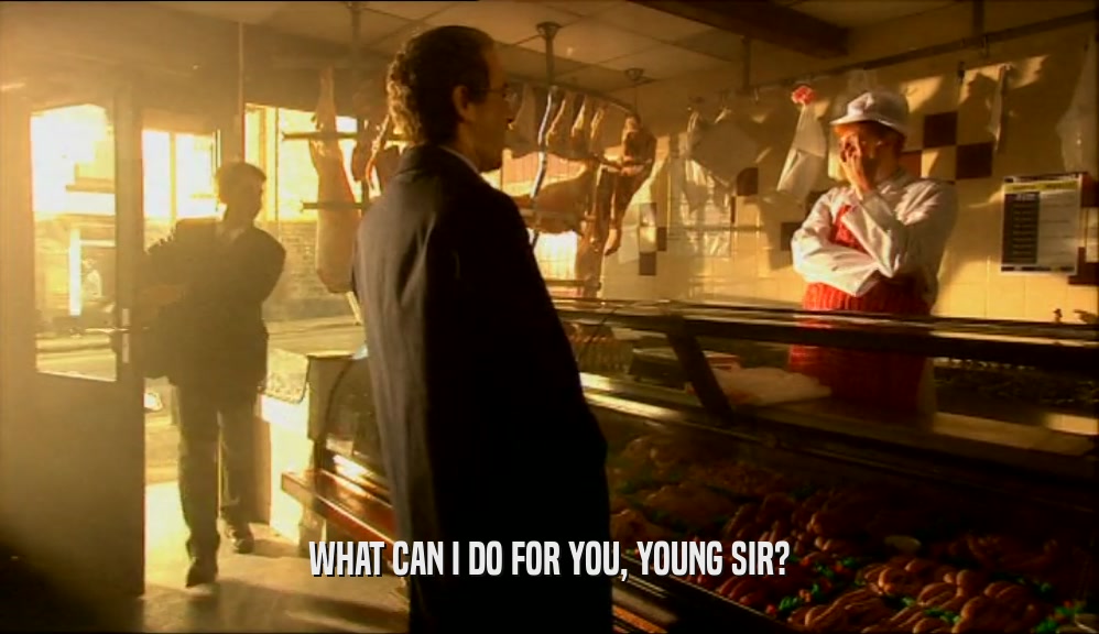 WHAT CAN I DO FOR YOU, YOUNG SIR?  