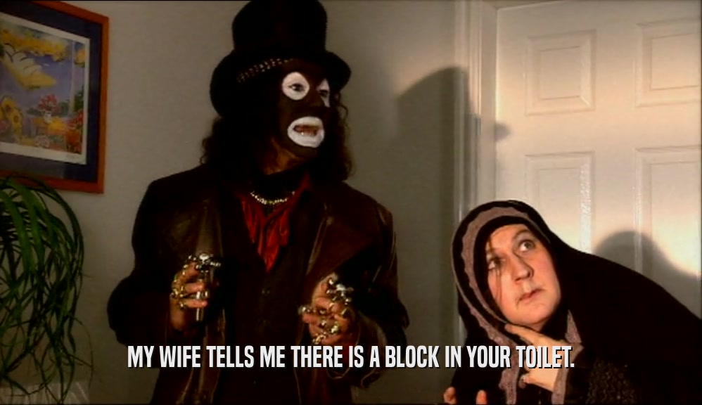 MY WIFE TELLS ME THERE IS A BLOCK IN YOUR TOILET.
  