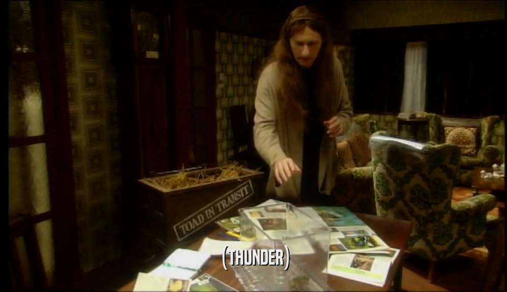 (THUNDER)  