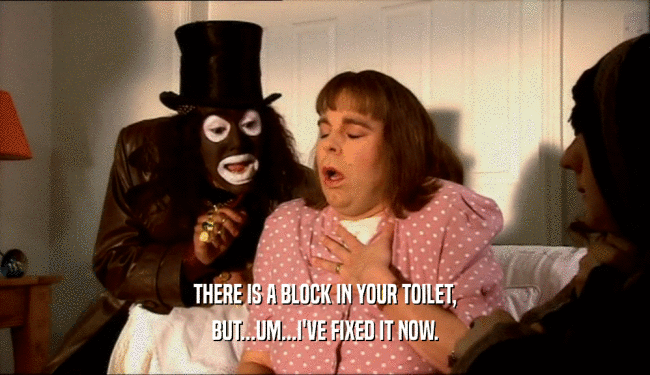 THERE IS A BLOCK IN YOUR TOILET, BUT...UM...I'VE FIXED IT NOW. 