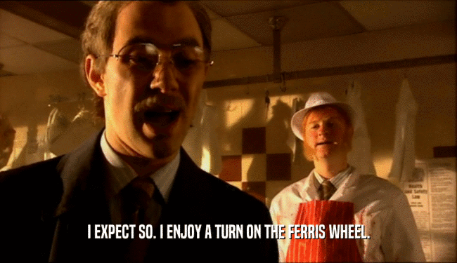 I EXPECT SO. I ENJOY A TURN ON THE FERRIS WHEEL.  