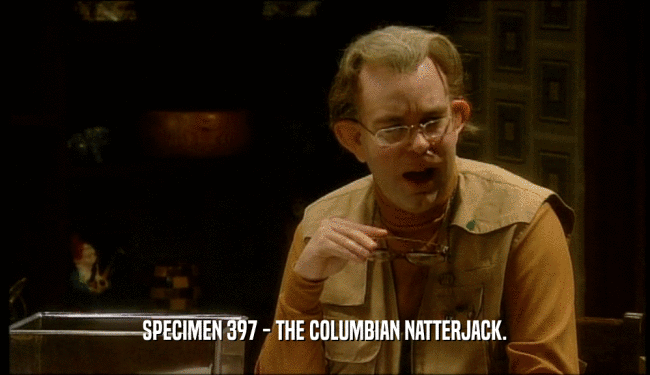 SPECIMEN 397 - THE COLUMBIAN NATTERJACK.
  