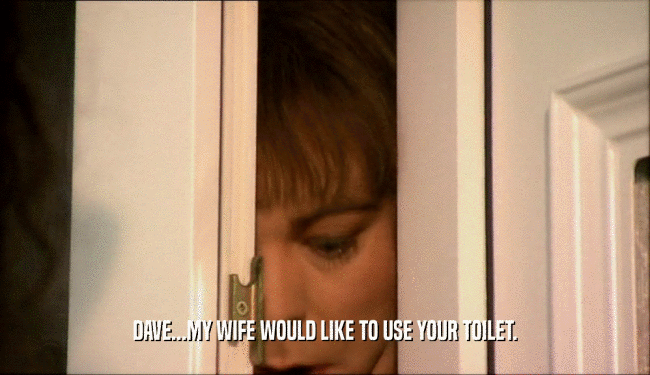 DAVE...MY WIFE WOULD LIKE TO USE YOUR TOILET.  