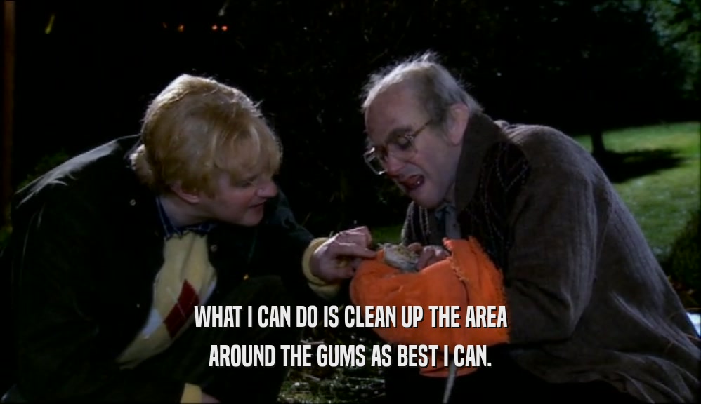 WHAT I CAN DO IS CLEAN UP THE AREA AROUND THE GUMS AS BEST I CAN. 