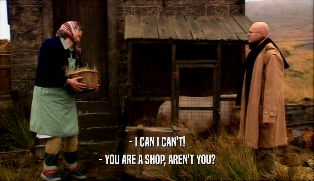 - I CAN I CAN'T!
 - YOU ARE A SHOP, AREN'T YOU?
 