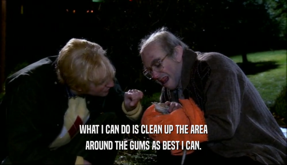 WHAT I CAN DO IS CLEAN UP THE AREA AROUND THE GUMS AS BEST I CAN. 