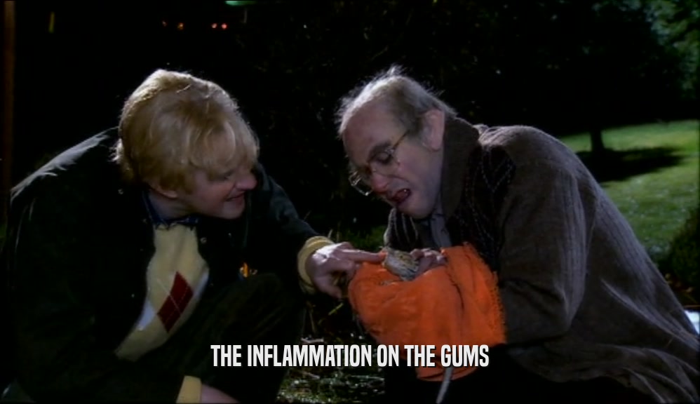 THE INFLAMMATION ON THE GUMS  