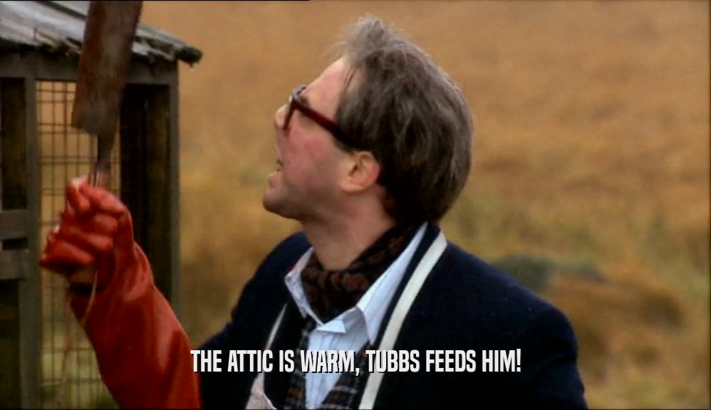 THE ATTIC IS WARM, TUBBS FEEDS HIM!  