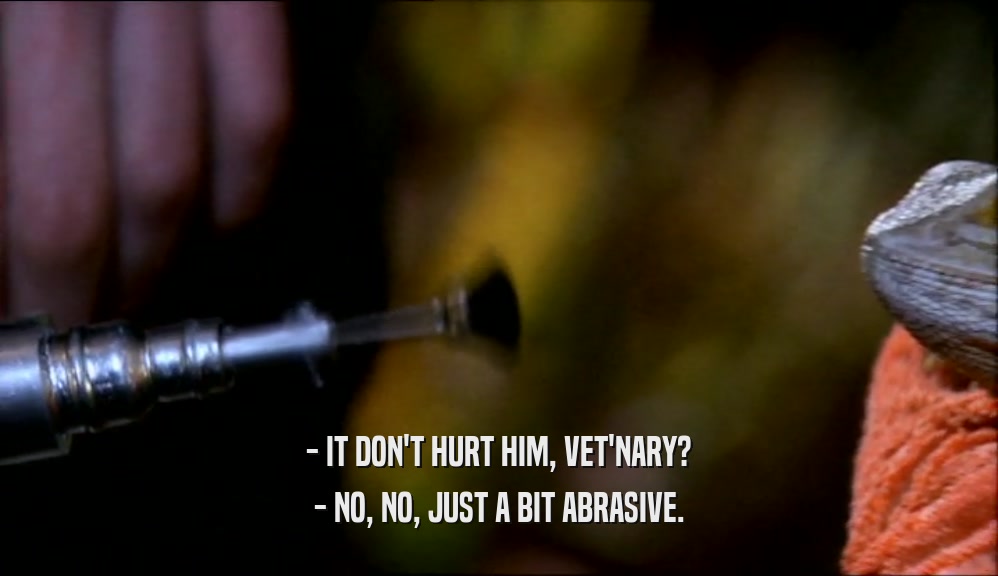 - IT DON'T HURT HIM, VET'NARY? - NO, NO, JUST A BIT ABRASIVE. 