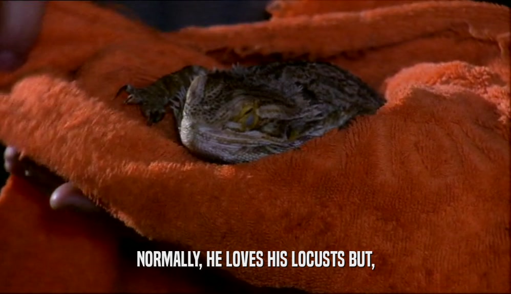 NORMALLY, HE LOVES HIS LOCUSTS BUT,
  