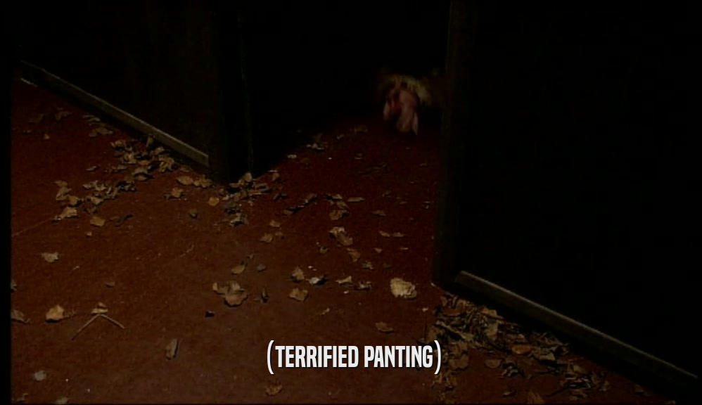 (TERRIFIED PANTING)  