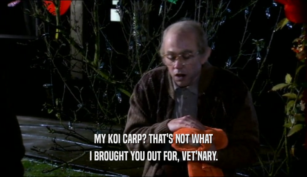 MY KOI CARP? THAT'S NOT WHAT I BROUGHT YOU OUT FOR, VET'NARY. 