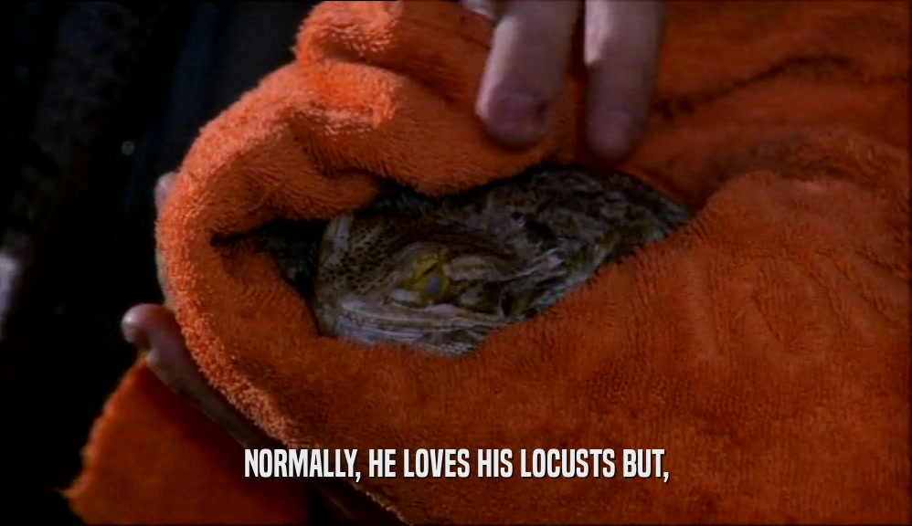 NORMALLY, HE LOVES HIS LOCUSTS BUT,  