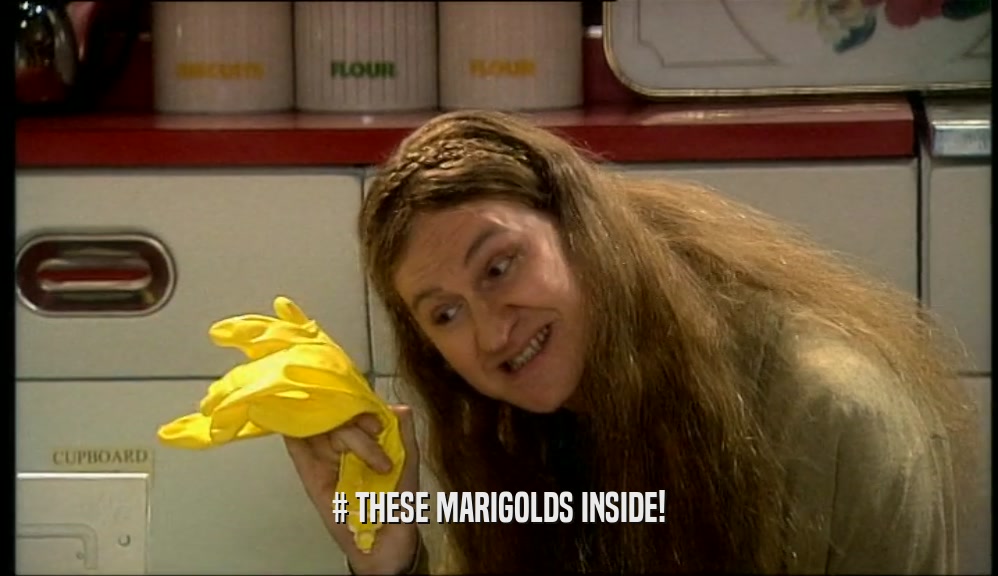 # THESE MARIGOLDS INSIDE!  