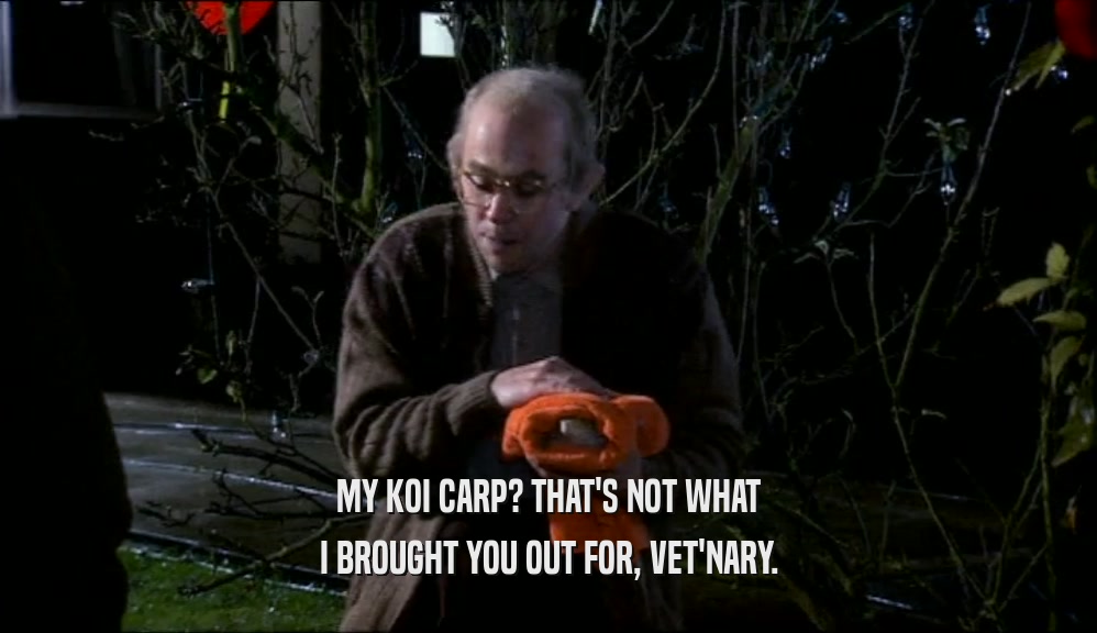 MY KOI CARP? THAT'S NOT WHAT I BROUGHT YOU OUT FOR, VET'NARY. 