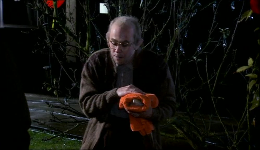 MY KOI CARP? THAT'S NOT WHAT I BROUGHT YOU OUT FOR, VET'NARY. 