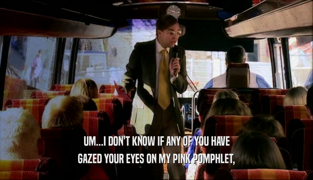 UM...I DON'T KNOW IF ANY OF YOU HAVE GAZED YOUR EYES ON MY PINK POMPHLET, 