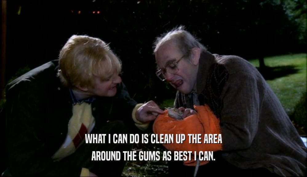 WHAT I CAN DO IS CLEAN UP THE AREA AROUND THE GUMS AS BEST I CAN. 