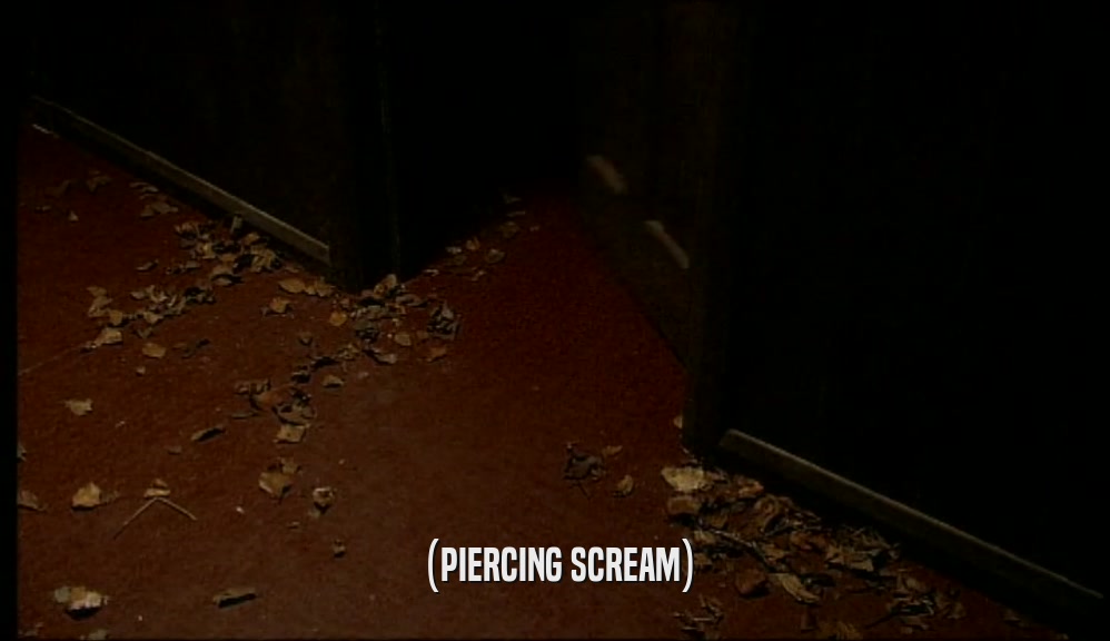 (PIERCING SCREAM)  