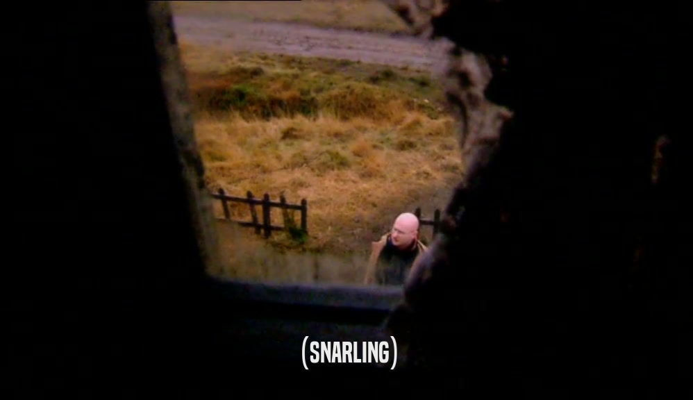 (SNARLING)  